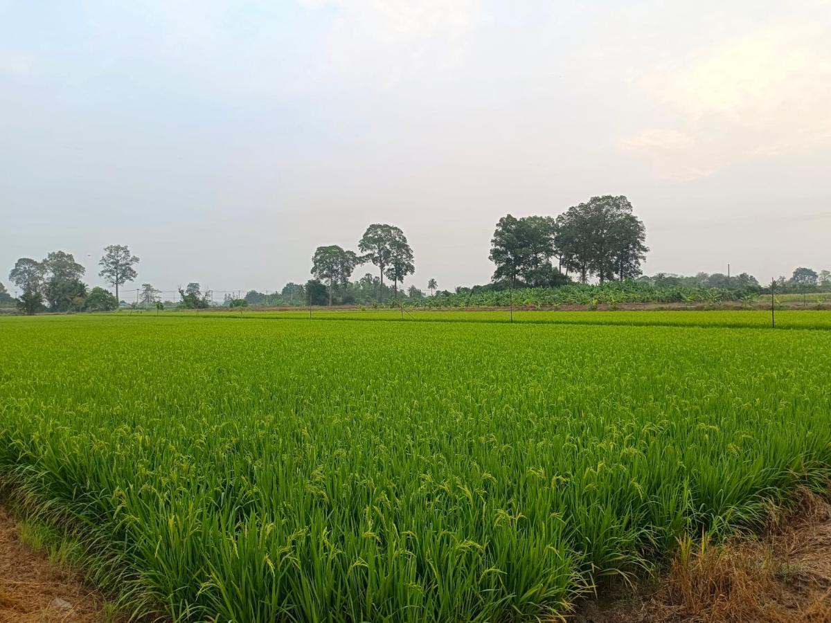 บ้านแม่อุทัยธานี Baanmae Uthaithani Kültér fotó