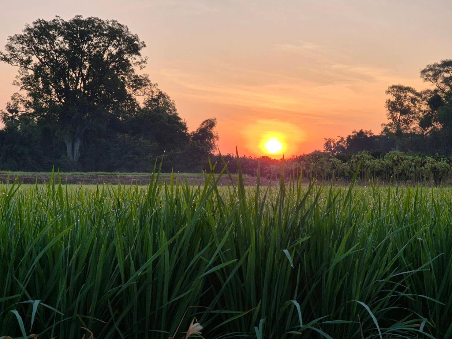 บ้านแม่อุทัยธานี Baanmae Uthaithani Kültér fotó